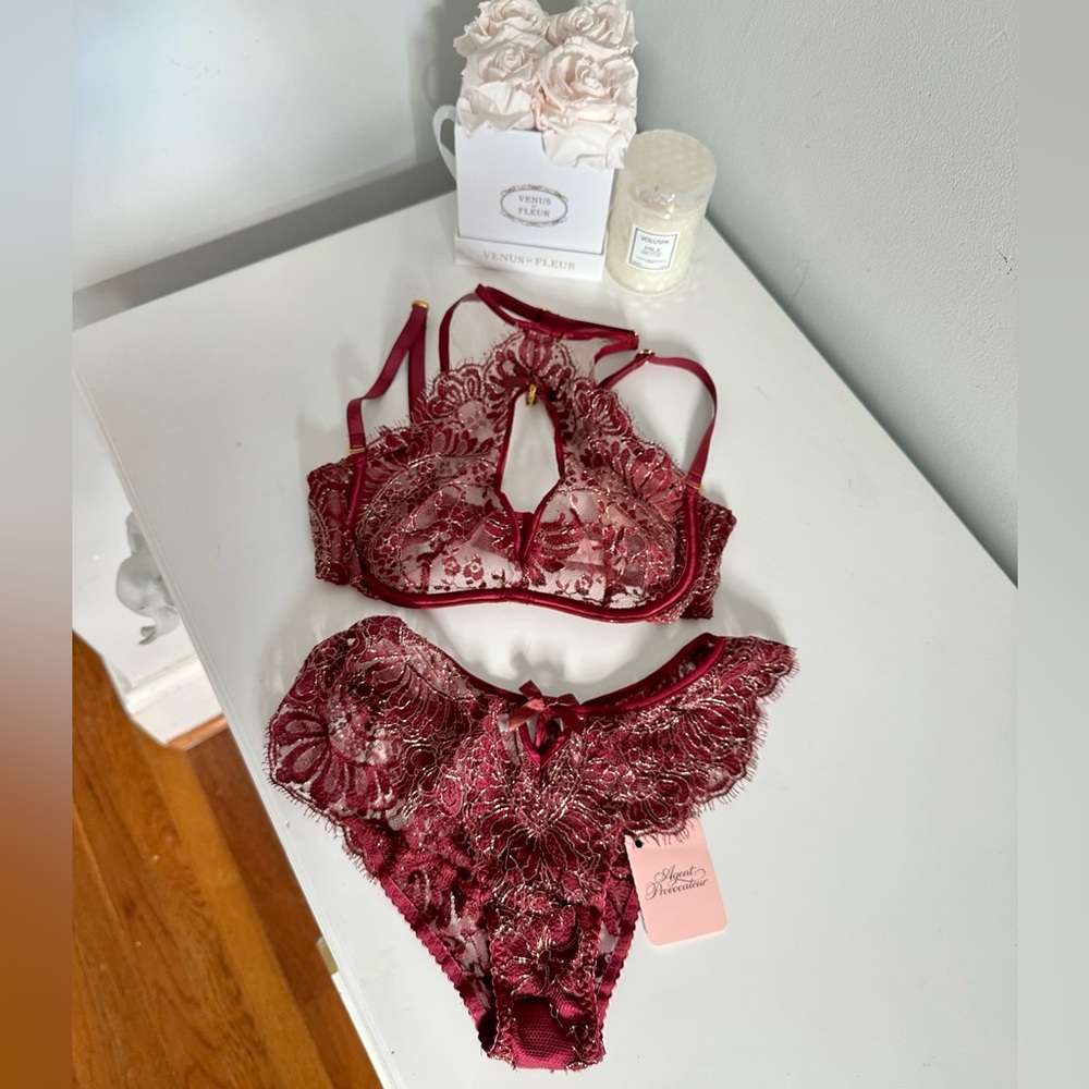 NWT Agent Provocateur Zalia Bra & Brief Set